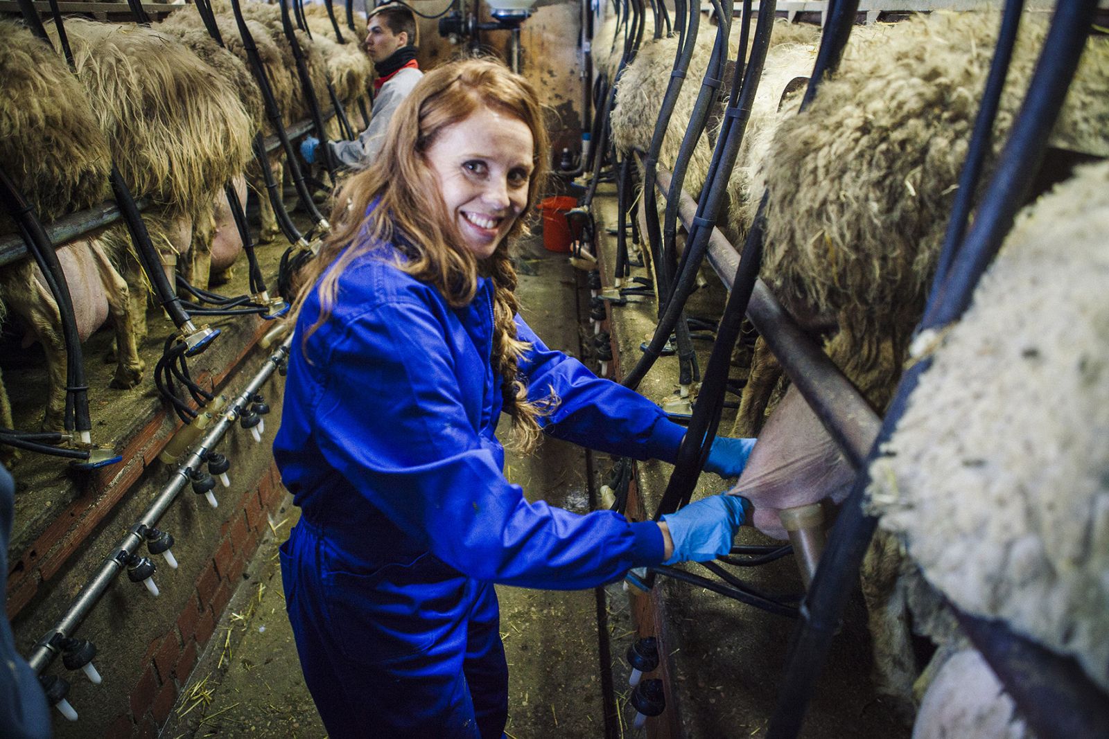 Maria Castro, quesera