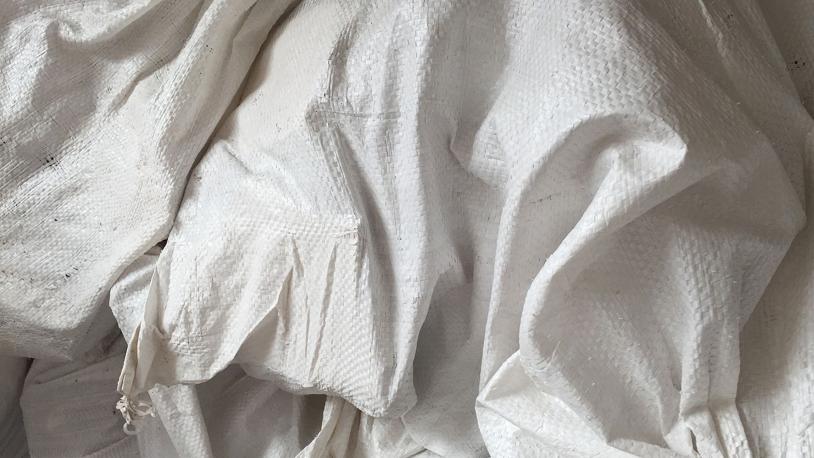 Detalle de una de las obras de Mónica Grande