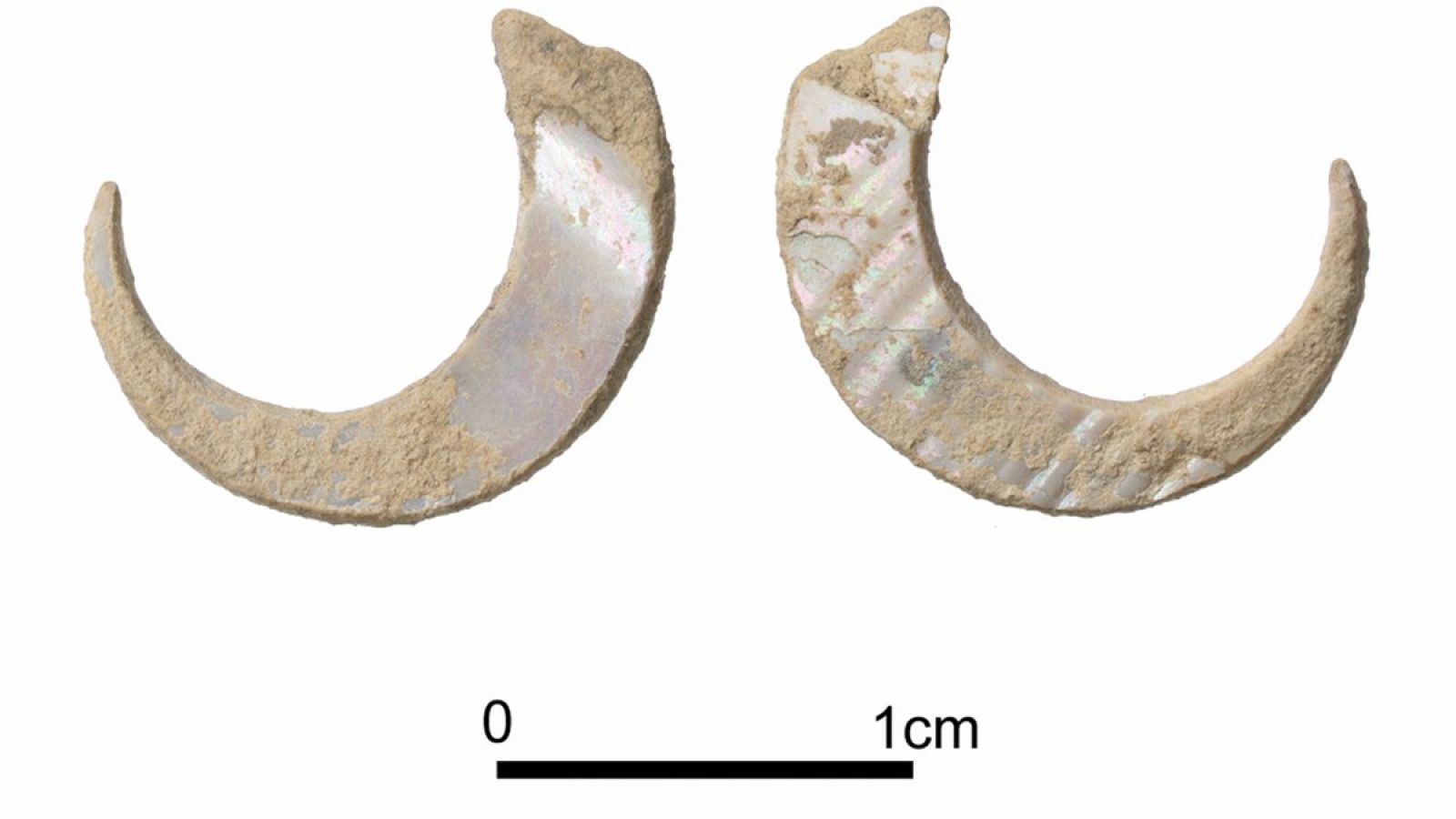 Los anzuelos más antiguos del mundo, hallados en la isla japonesa de Okinawa.