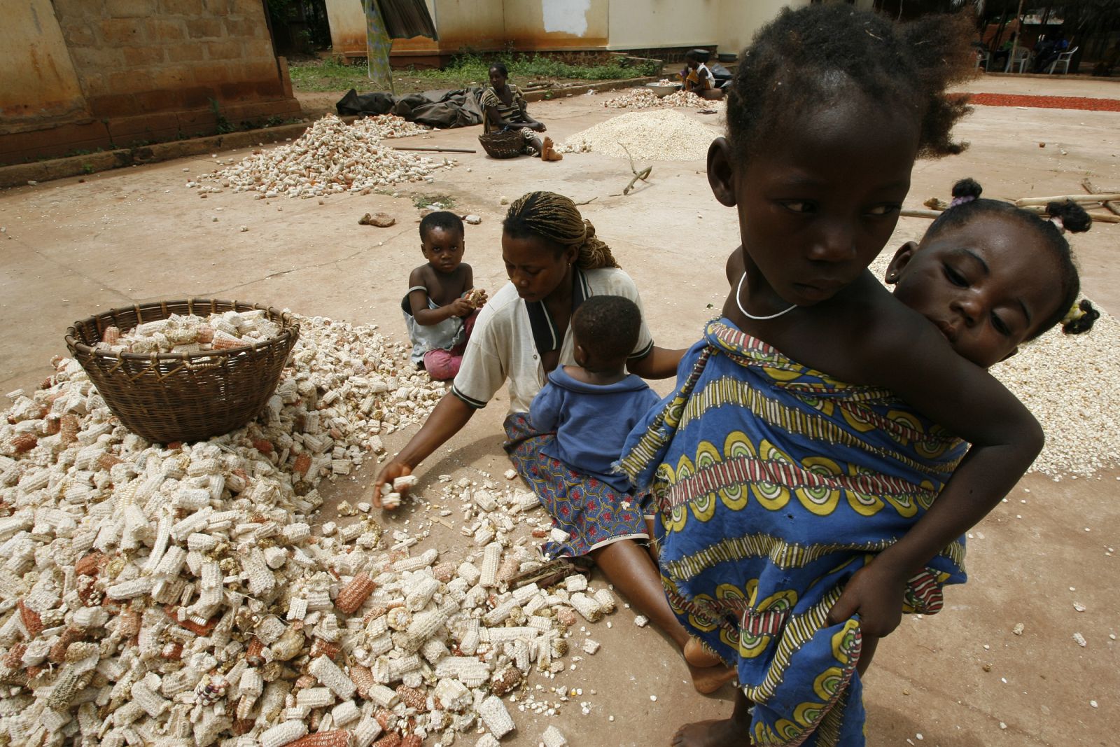 Plaga de maíz África