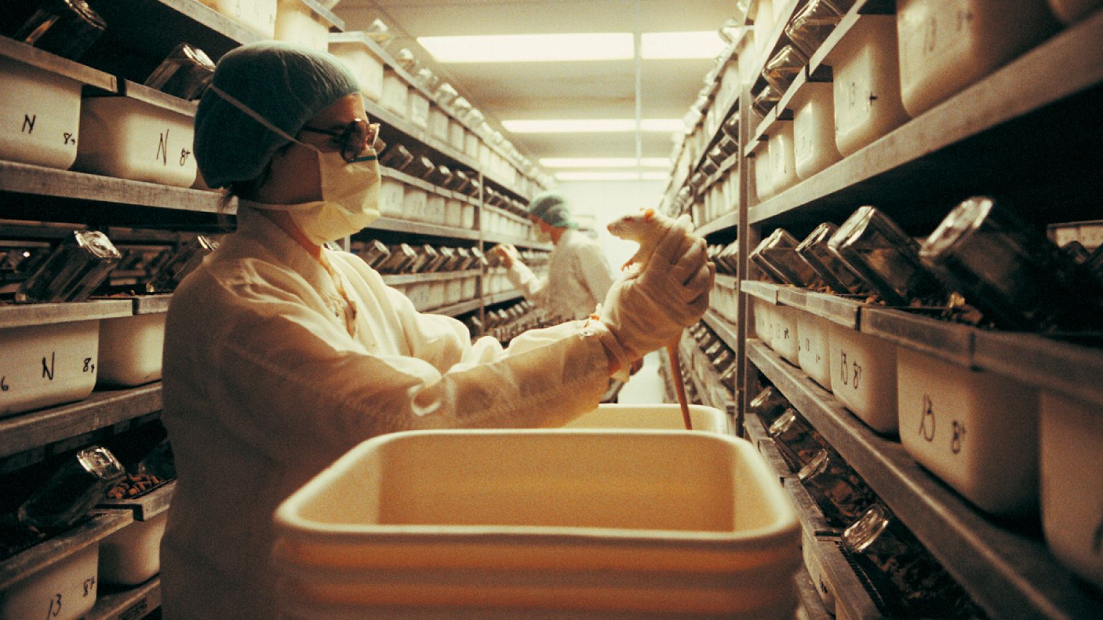 Para la medicina, el uso de animales en la fase de experimentación es muy importante en la obtención de nuevos medicamentos.