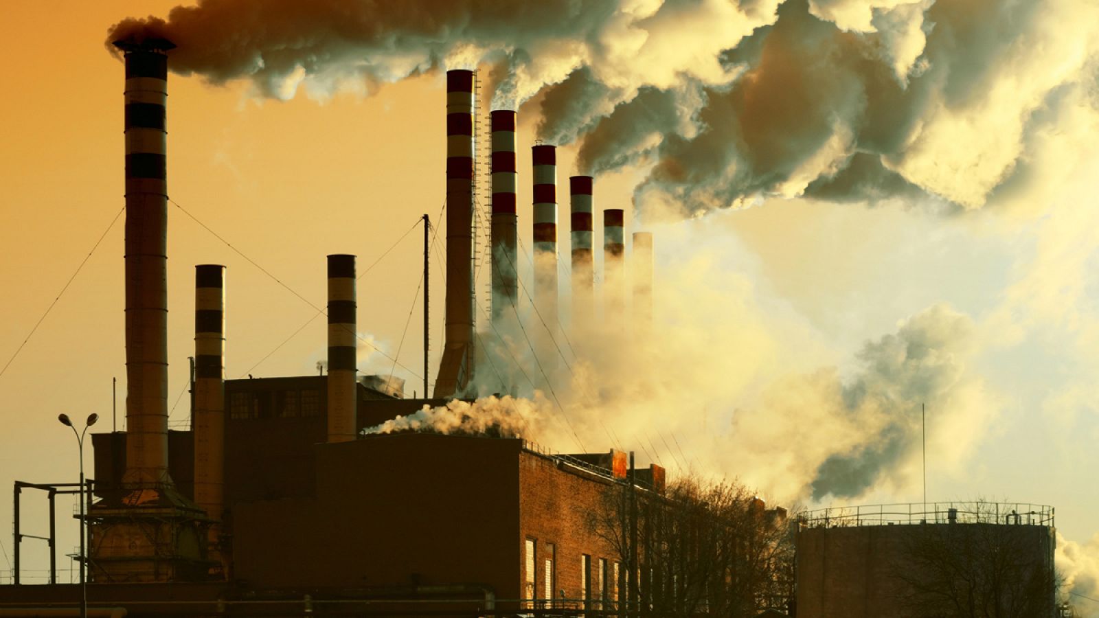 Según la OCDE, las emisiones de gases de dióxido de carbono (CO2) de los países más desarrollados no están sujetos a un nivel impositivo suficiente.