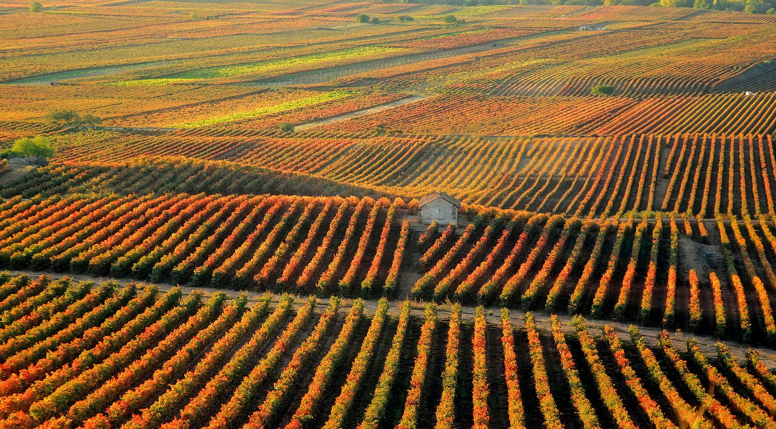 San Vicente de la Sonsierra