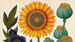 'Botanicum', el arte imita a la naturaleza