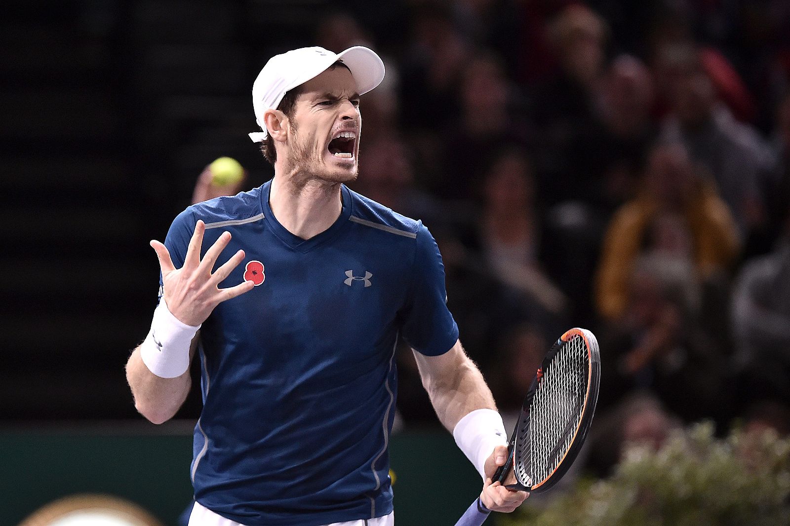 Andy Murray es el favorito para levantar el torneo de Mestros.