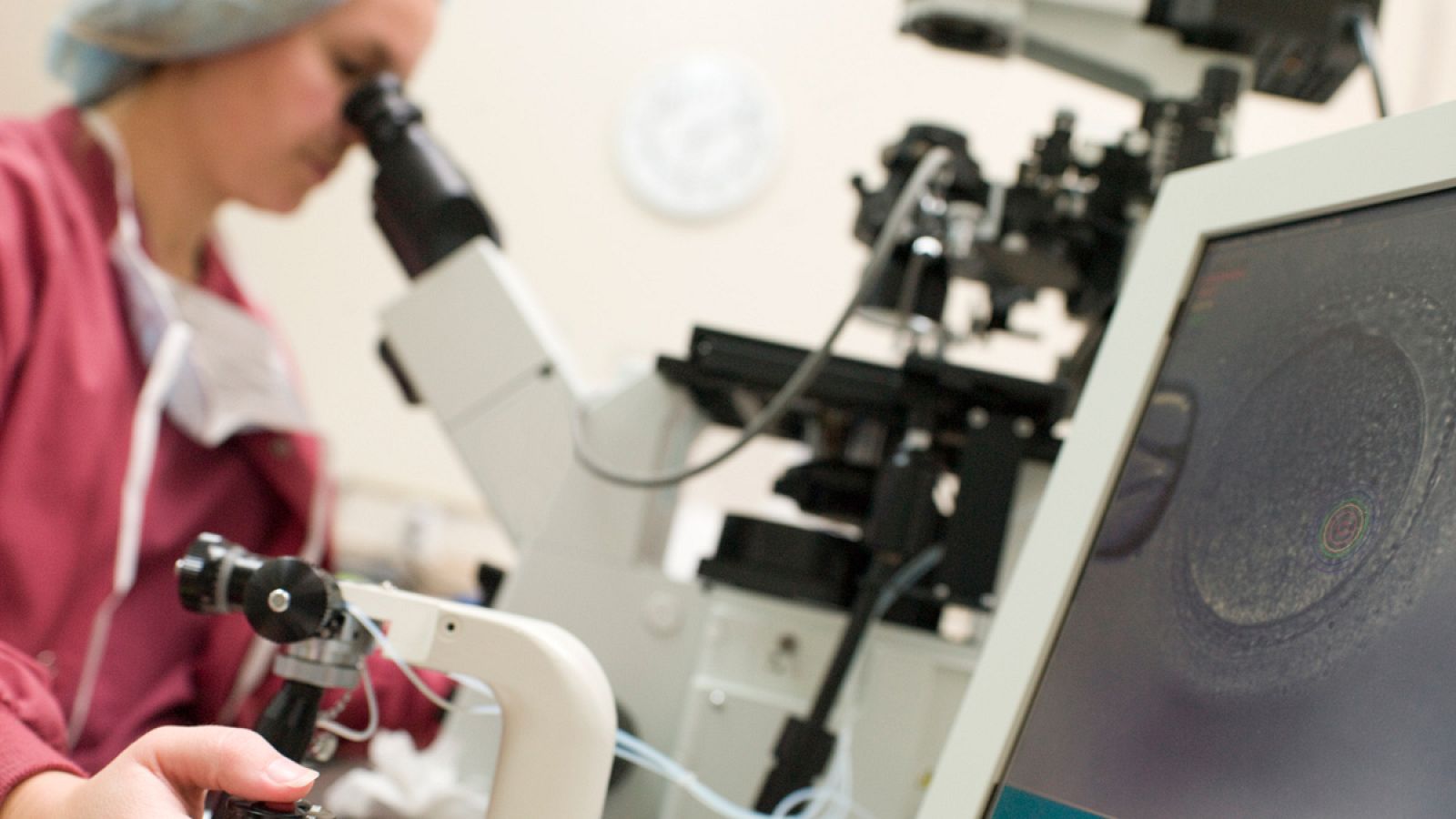 Las cifras sitúan a España a la cabeza de tratamientos de reproducción asistida en Europa y en tercer lugar en el mundo.