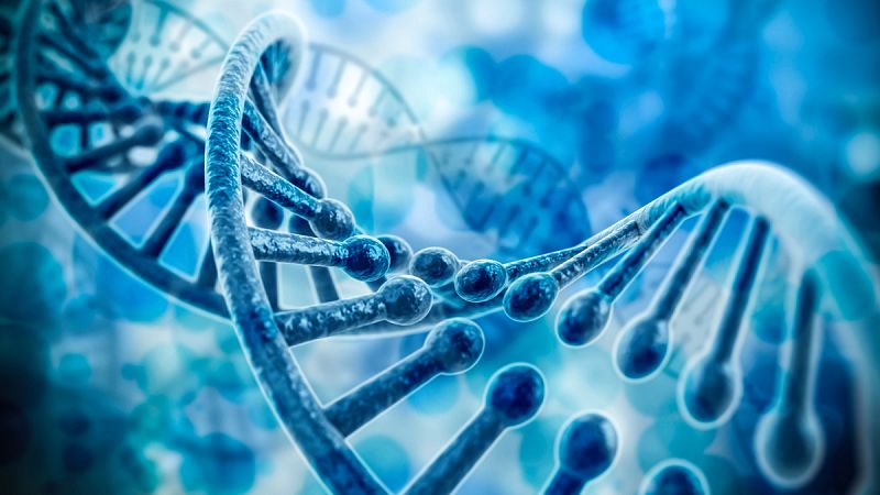 Científicos chinos prueban por primera vez en humanos la técnica CRISPR de edición de ADN