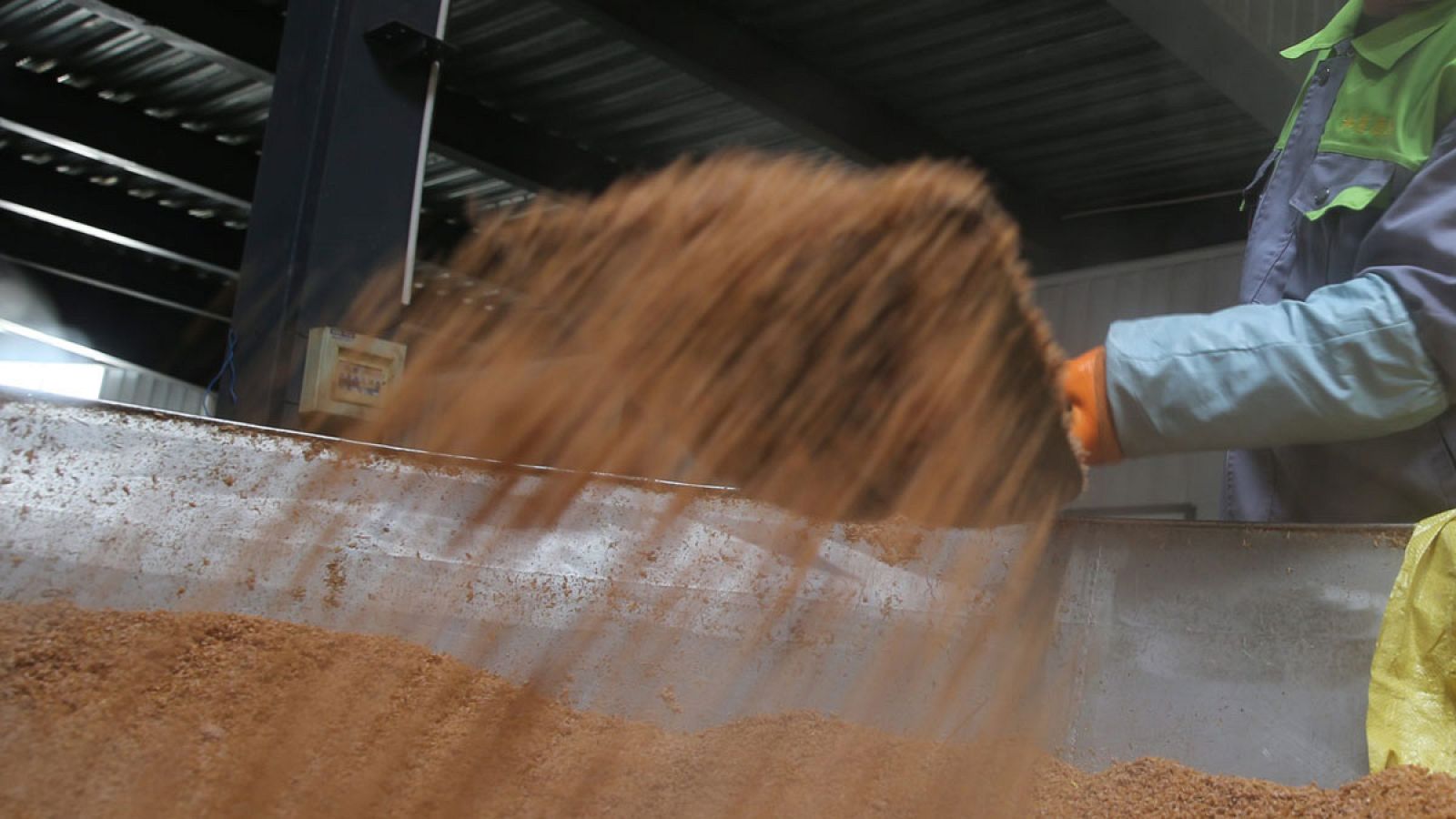 Imagen de archivo de trabajadores agrícolas