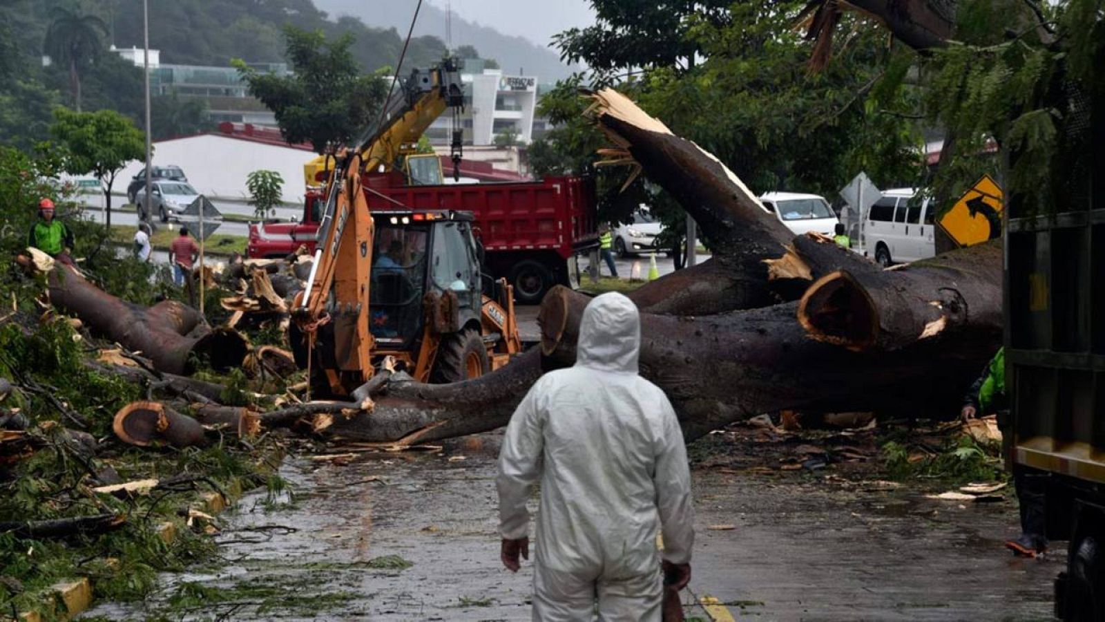 Varios trabajadores intentan retirar el árbol que golpeó al coche en el que viajaba el niño fallecido