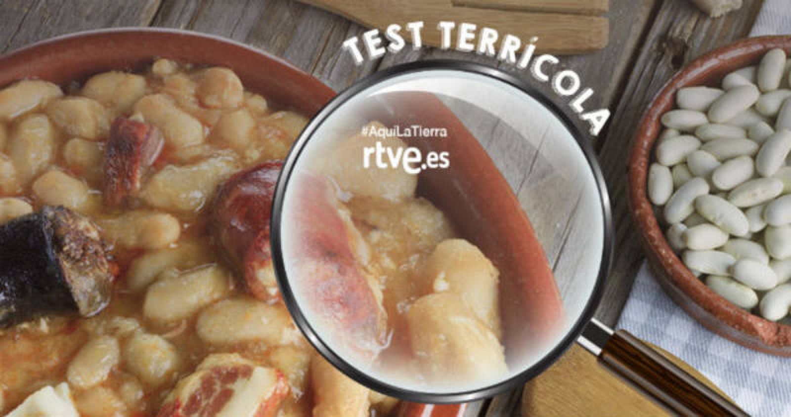 Aquí la tierra - Test sobre guisos españoles