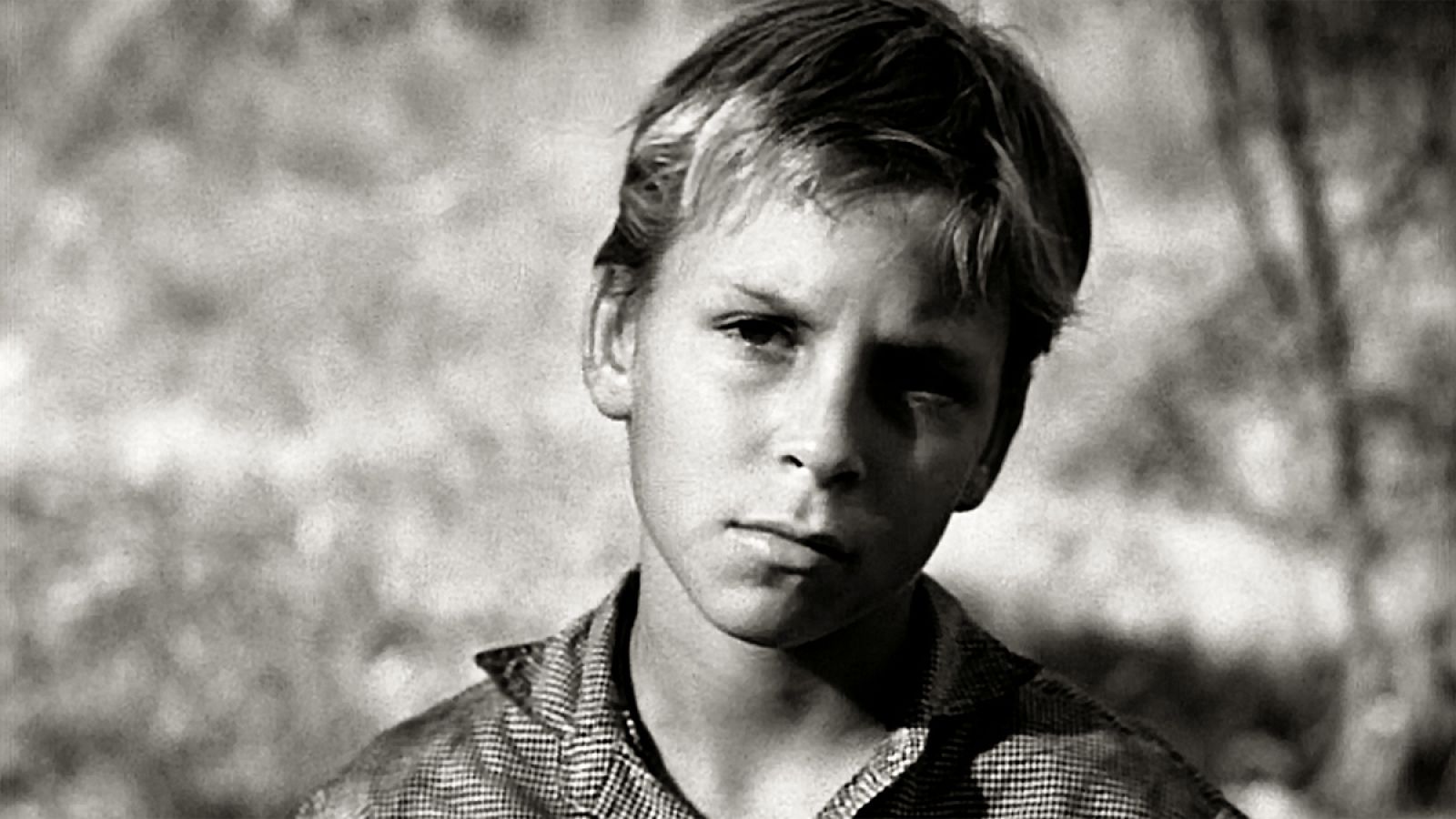 El actor Billy Chapin en 'La noche del cazador'