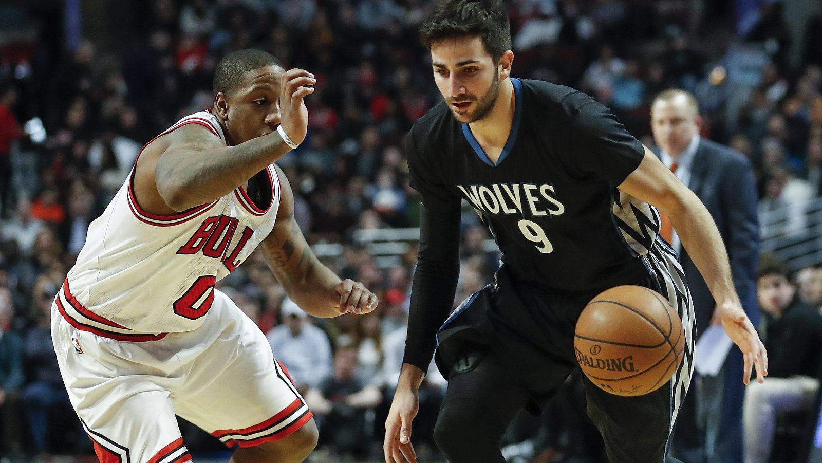 Chicago Bulls - Minnesota Timberwolves