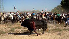 El Constitucional avala por unanimidad la prohibición del Toro de la Vega