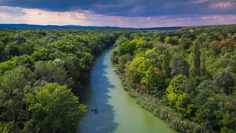 España participa en un proyecto de sensores inalámbricos para controlar la deforestación en el Amazonas