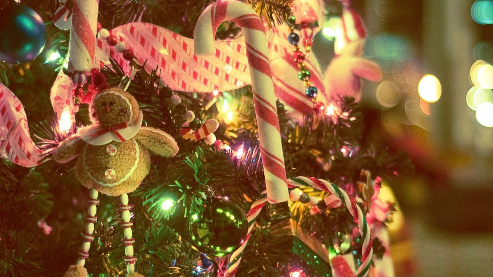 Recordar sigue siendo "casi obligatorio" en la Navidad de 'Memoria de delfín'