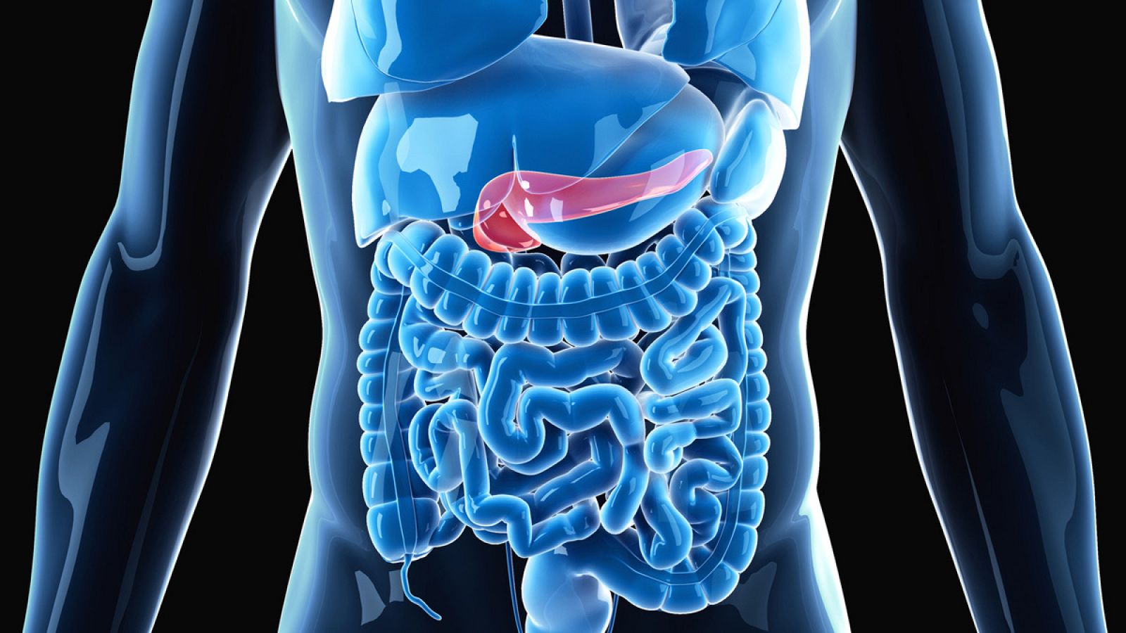 El páncreas biónico ha demostrado ser efectivo durante 11 días.