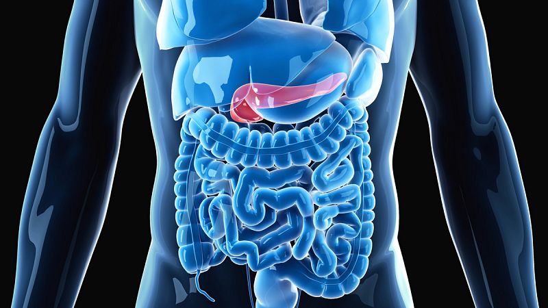 porque la diabetes causa ceguera colegios tecnológicos