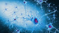 Diseñan un patrón para mejorar la estimulación cerebral eléctrica en pacientes con párkinson
