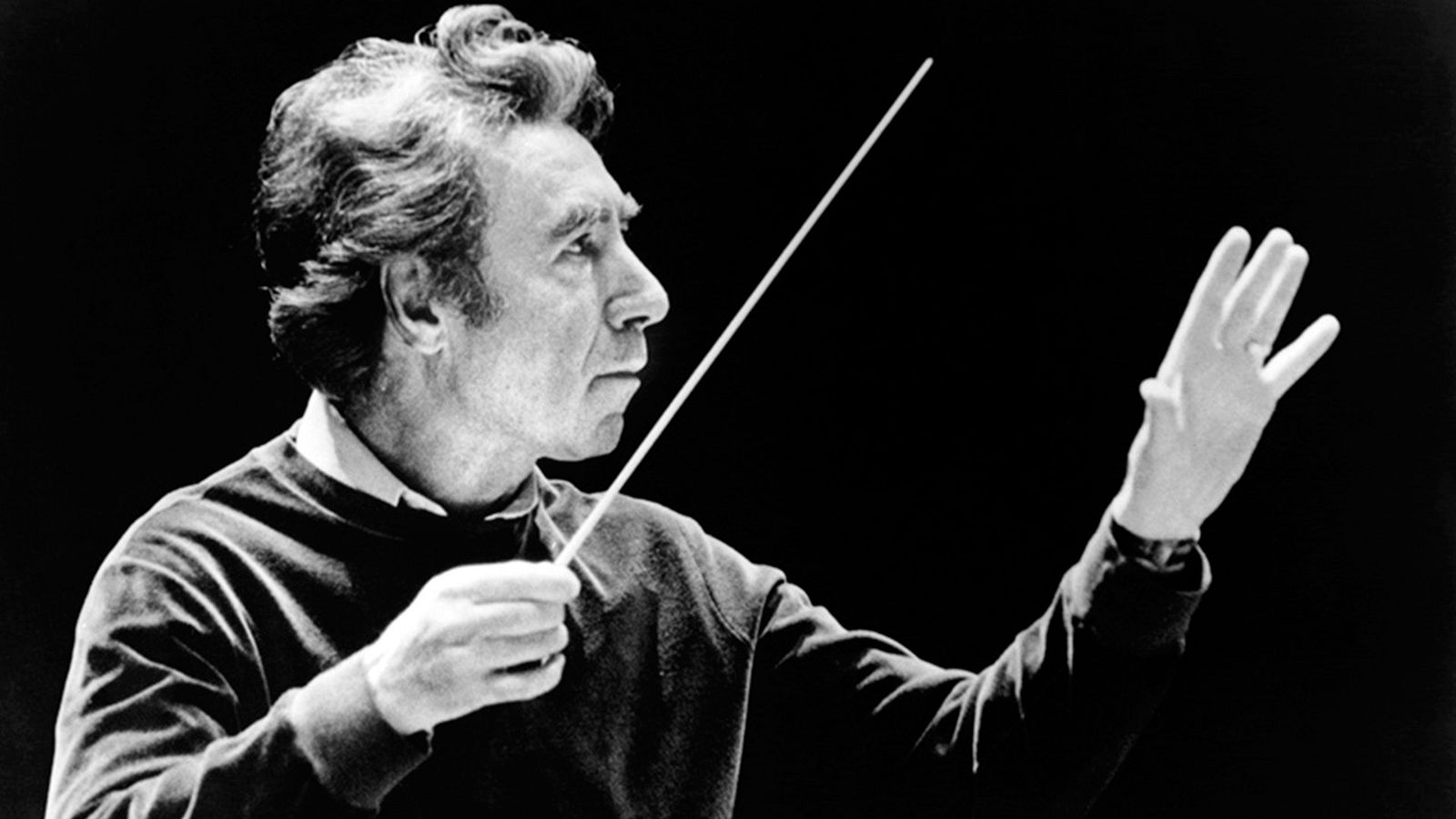 sergiu-comissiona web