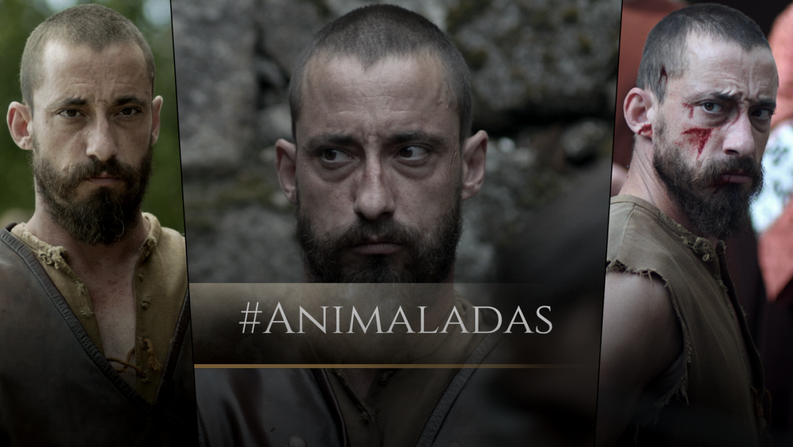 El final del camino - Animaladas (en GIF)