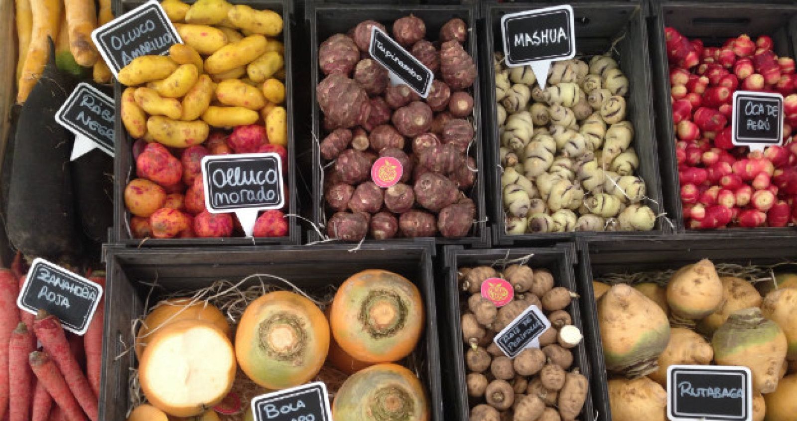 Aquí la tierra - Vegetales curiosos