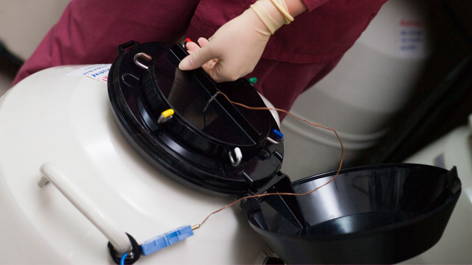 El embrión (fase de la fecundación previa a la formación del feto) fue congelado en el año 2000.