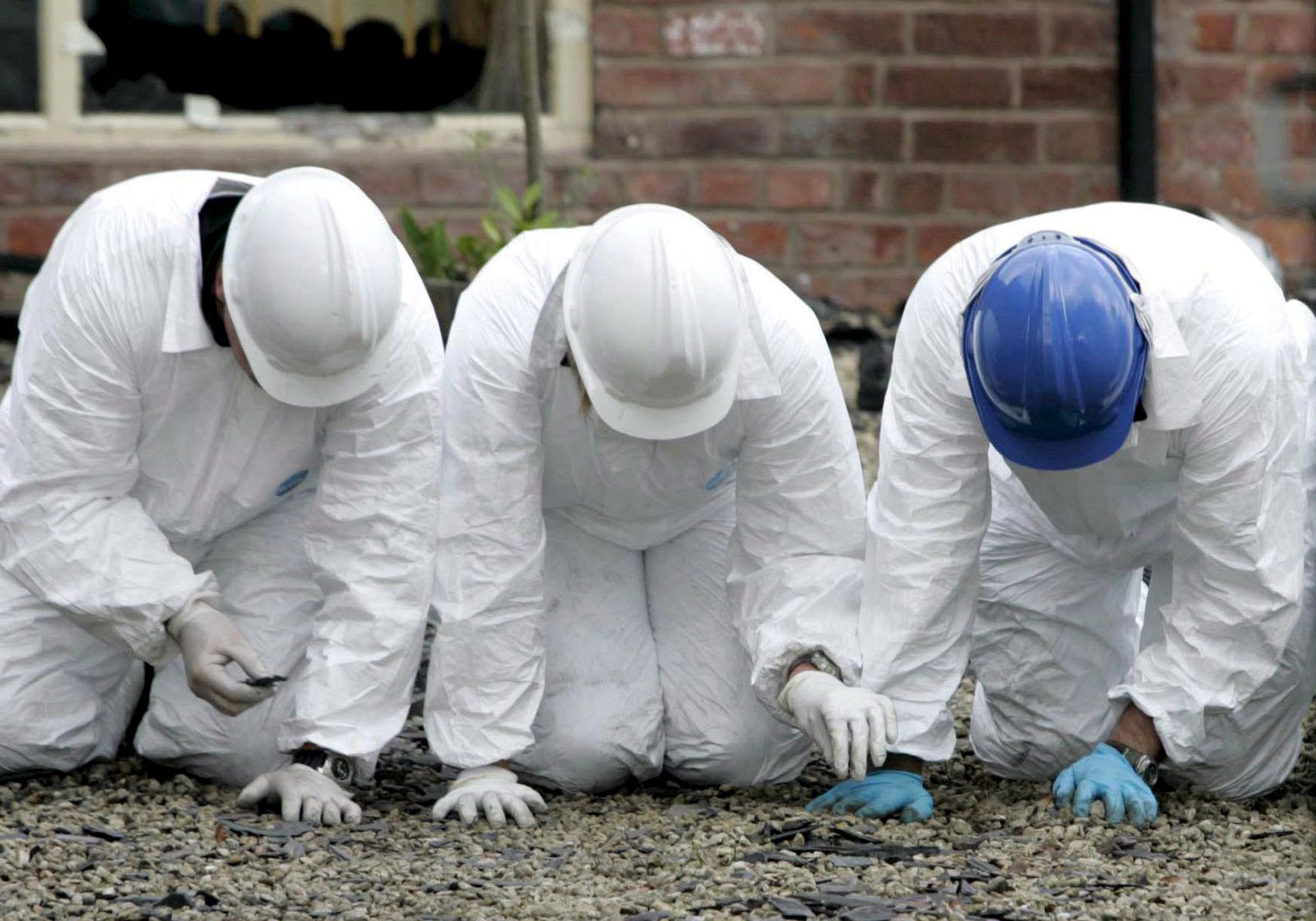 Investigación sobre los Foster