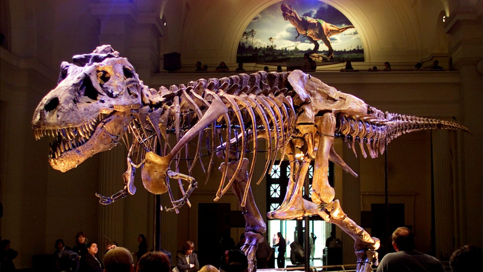 Imagen del esqueleto de un 'Tyrannosaurus rex', en el Field Museum de Chicago.