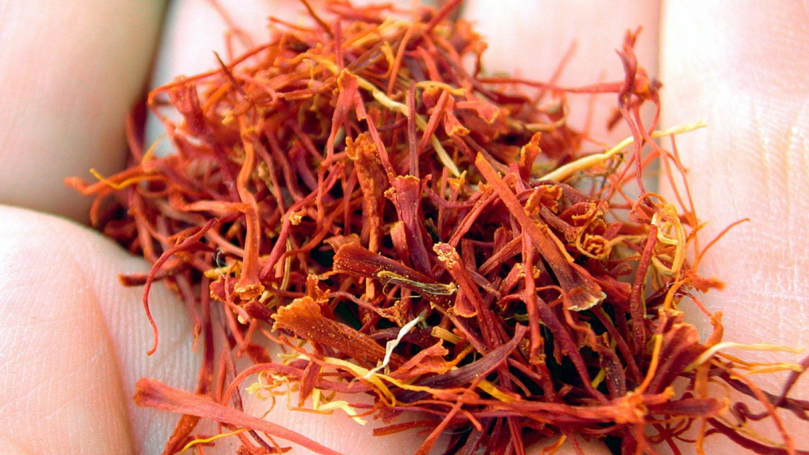 El azafrán es, junto con el aceite de oliva, la leche y la miel, uno de los productos alimentarios que más comúnmente sufre adulteraciones.