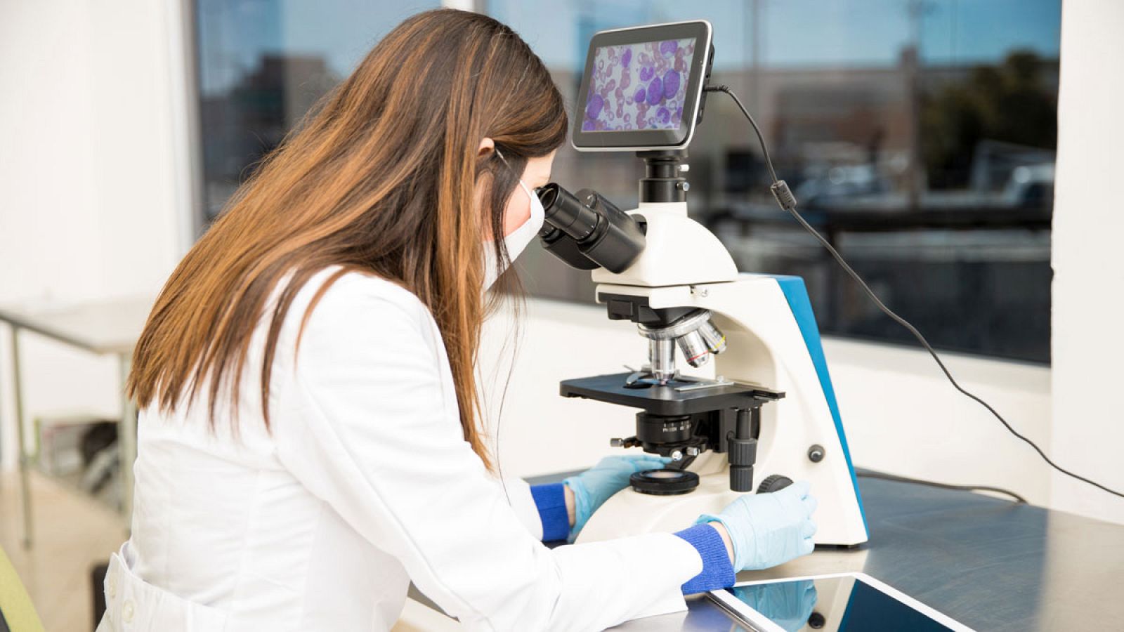 Por primera vez hay un presupuesto propio para la Agencia Estatal de Investigación.