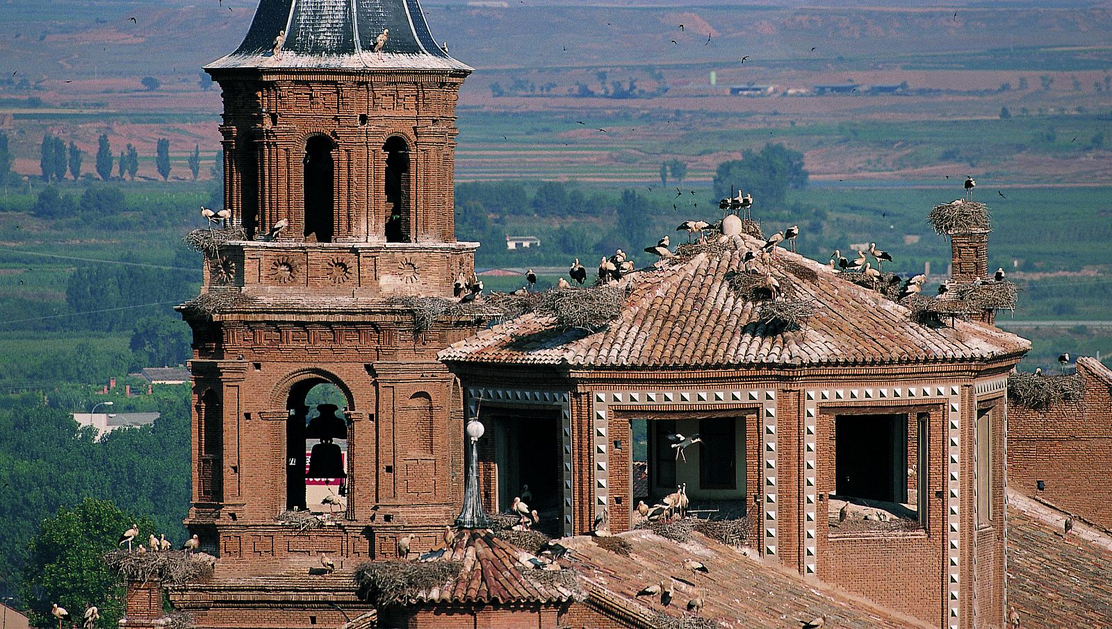 Colegiata de San Miguel Arcángel en Alfaro