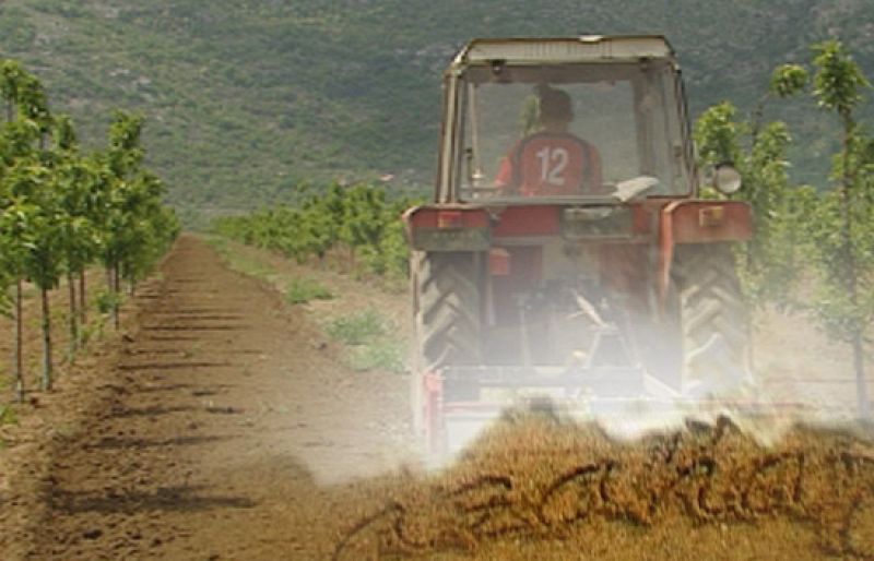 Bosnia, cultivar la reconciliación