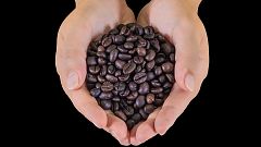 Dormir más o la cafeína alivian mejor el dolor crónico que los analgésicos