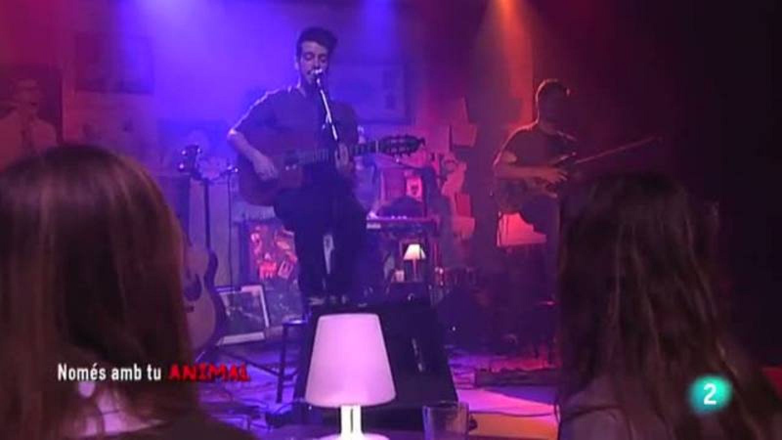 msics---animal-i-el-seu--noms-amb-tu- alta