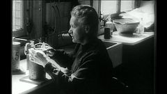 Genética en la cumbre / Marie Curie en España