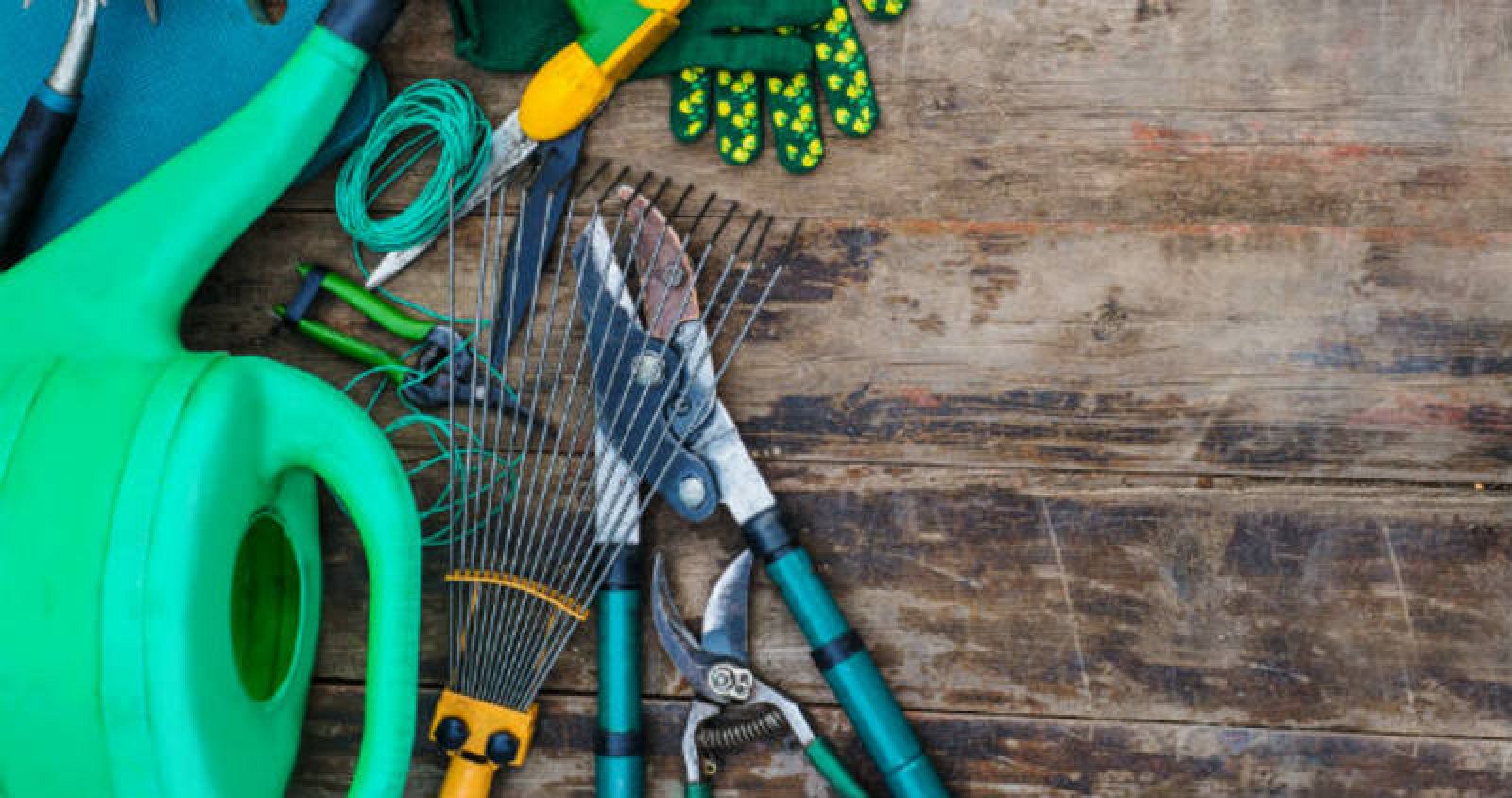 Cuidado para el huerto