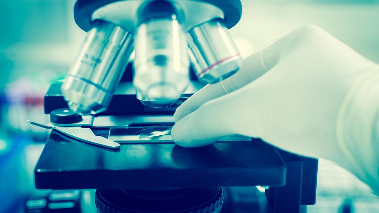 La nueva técnica supone un gran avance, debido a que las enzimas P450 se producen en muy bajas cantidades en las plantas.