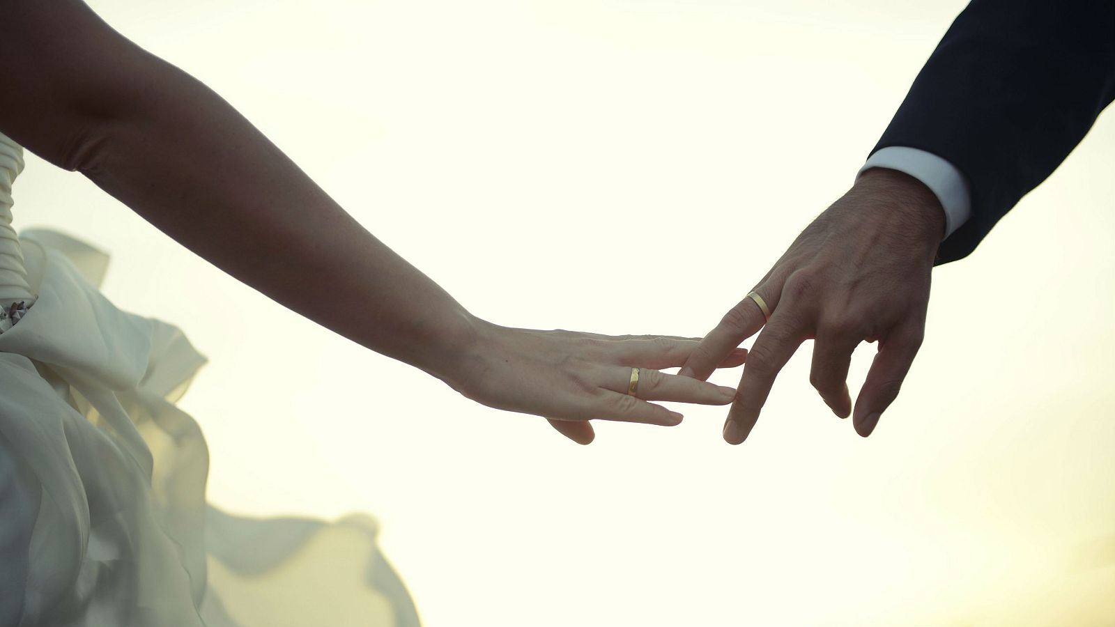 'Memoria de delfín' con las bodas