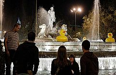 La Noche en Blanco acoge la masiva afluencia de madrileños en su tercera edición