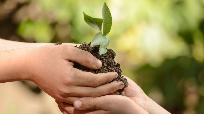 El World Pride plantará 2.200 árboles para compensar un tercio de las emisiones que genere