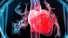 Un tratamiento oral reduce los daños de un infarto sobre el corazón