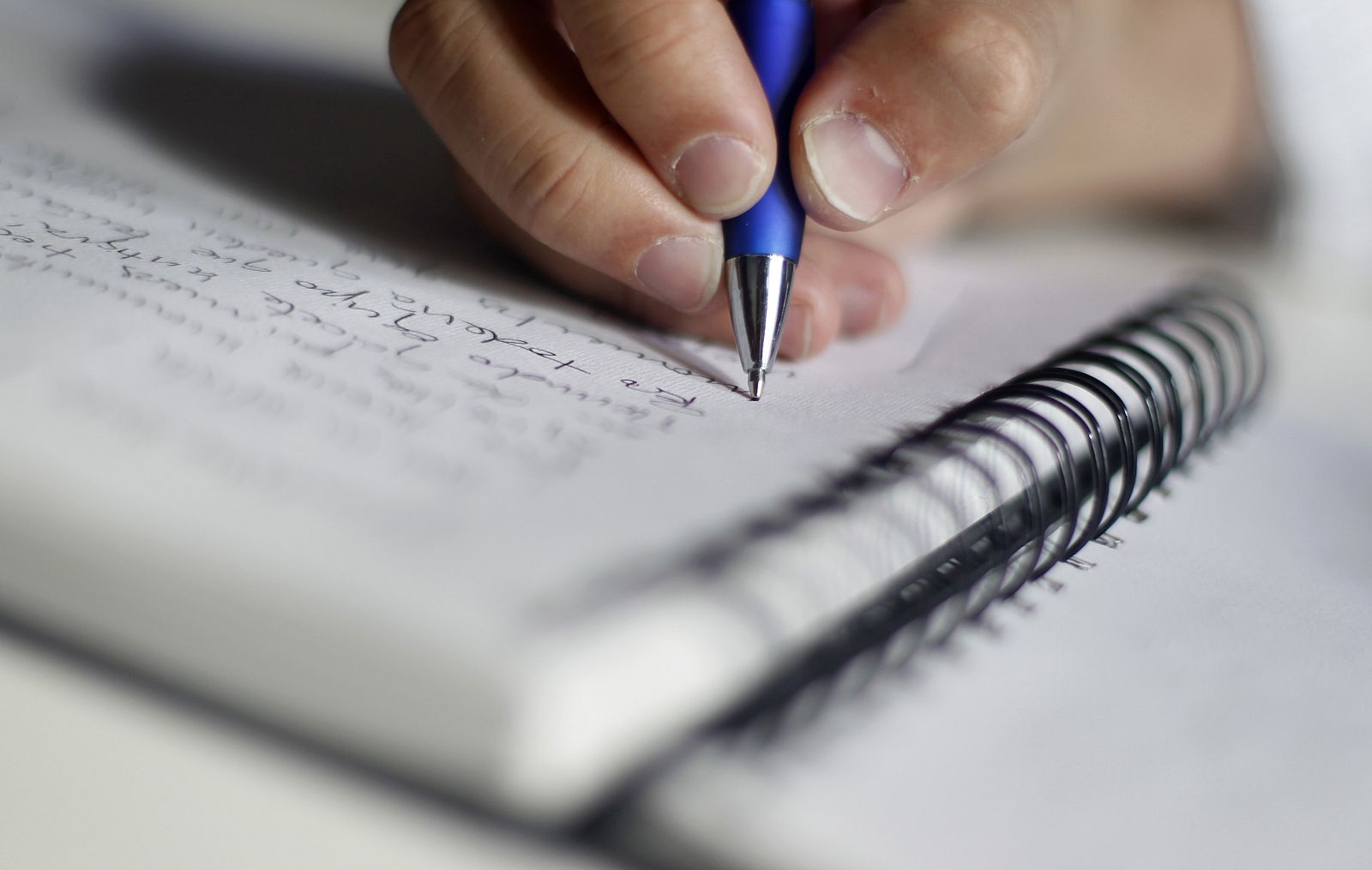 Concursantes con inquietudes artísticas