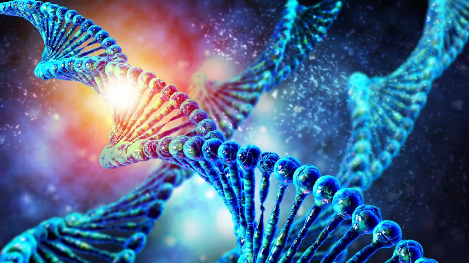 La investigación parte de una tesis previa que demuestra que el 61% de los factores que producen la psicosis son genéticos.