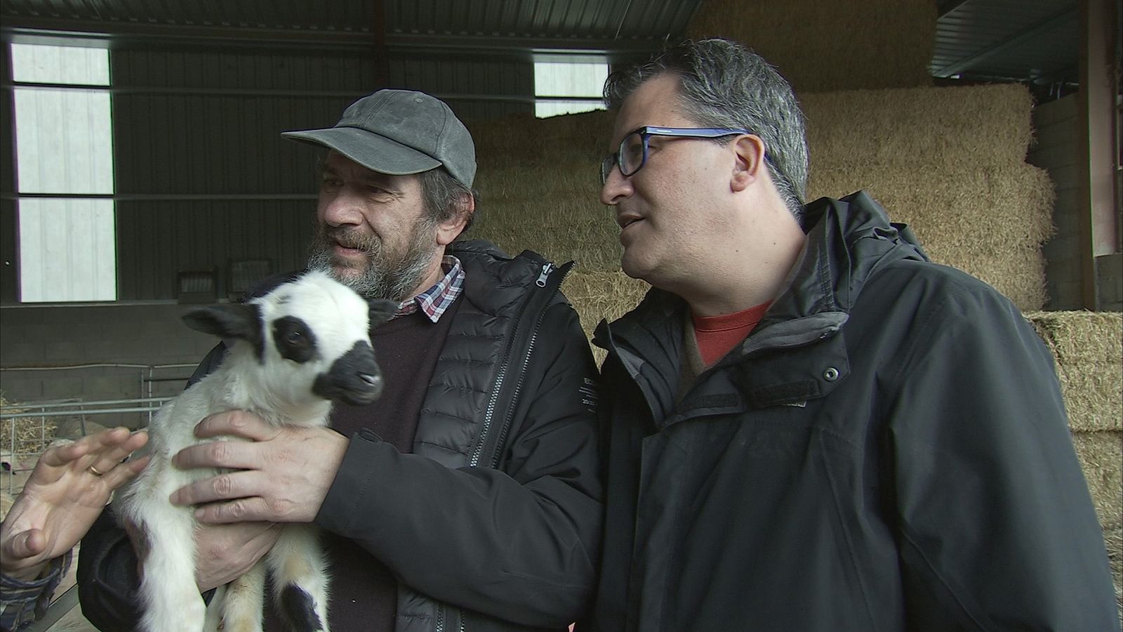 En la finca saldrán a pastar con las churras, les darán de comer y conocerán todo sobre la oveja tensina
