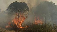 Desalojadas unas 400 personas por un incendio forestal en Riotinto, en Huelva