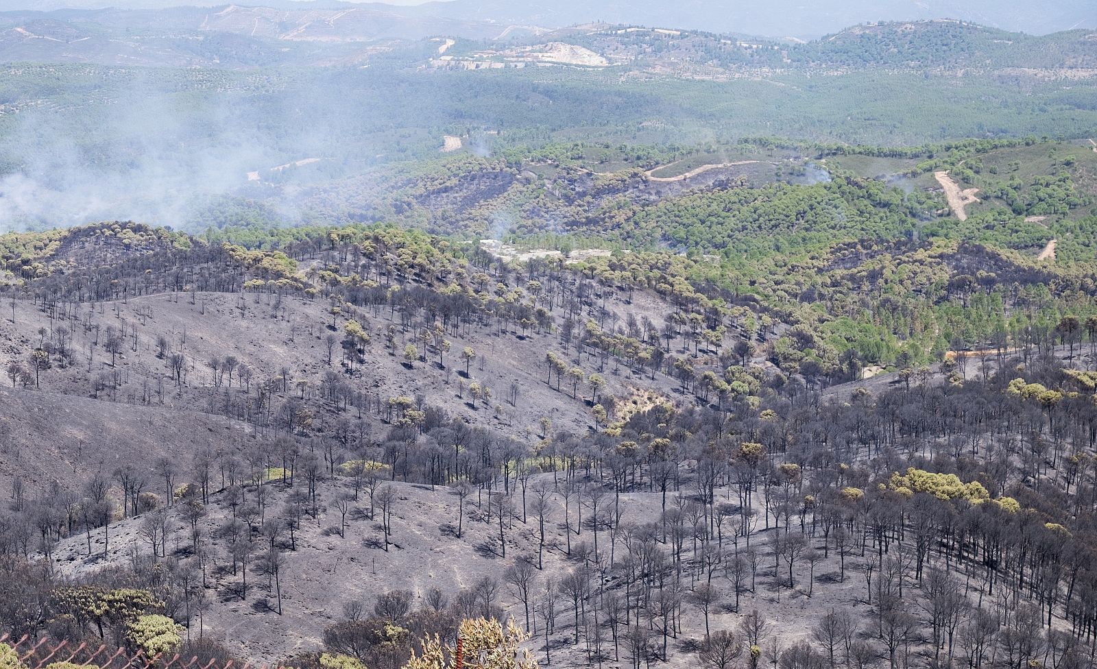 Aspecto tras el incendio forestal en Minas de Riotinto, en Huelva
