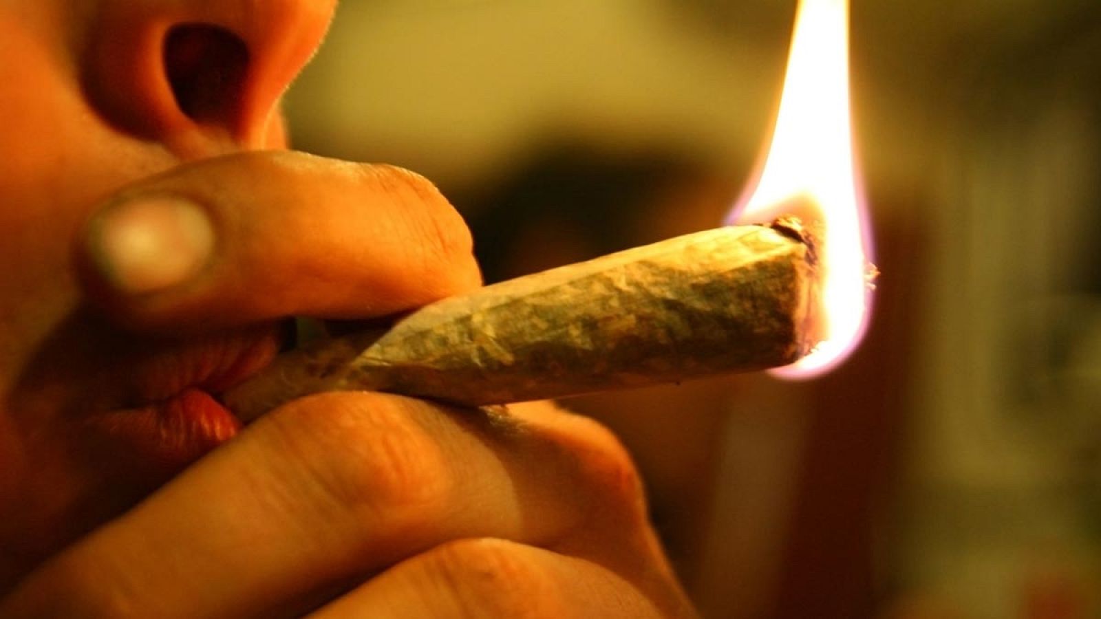 En España, un 80% de los consumidores de cannabis lo combinan con tabaco.