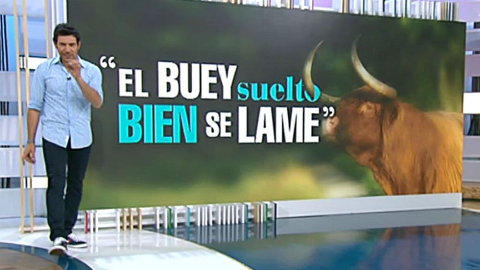 ¿Cuánto sabes de refranes?