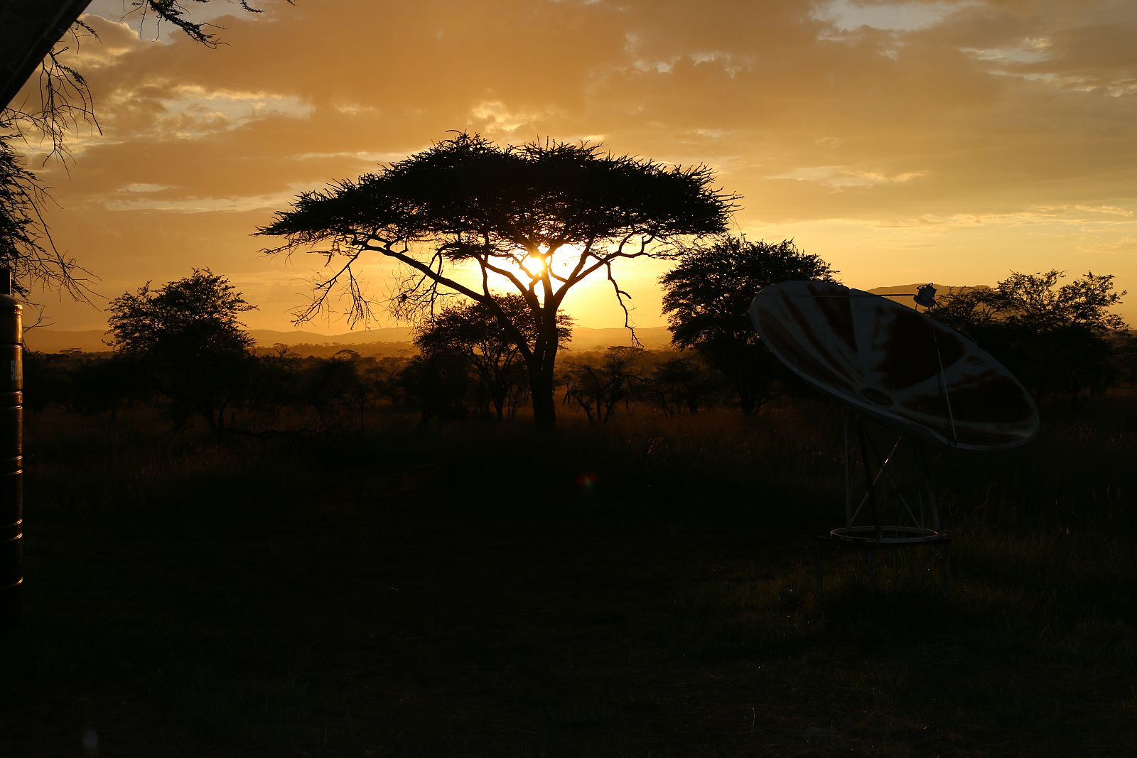 "La gran migración", el gran viaje entre Tanzania y Kenia