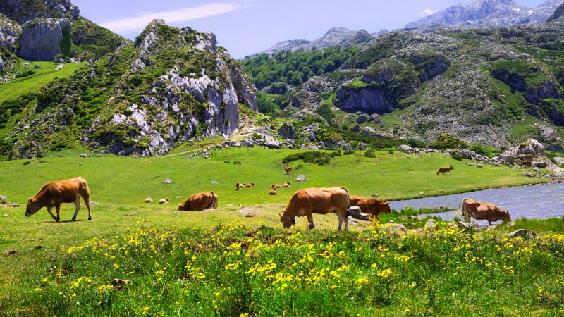 ¿Cómo puedes hacer turismo rural y que sea sostenible?
